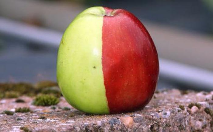 rosu si verde